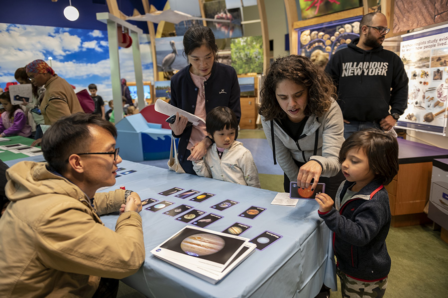 Starry Night – Florida Museum