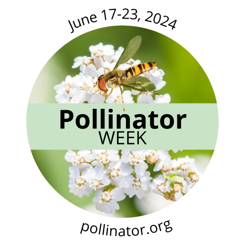 national pollinator week 2024 logo
