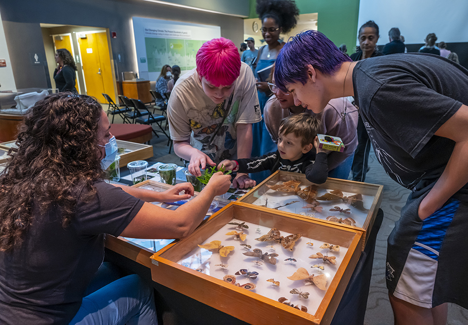 people at a table looking at caterpillar on leaves