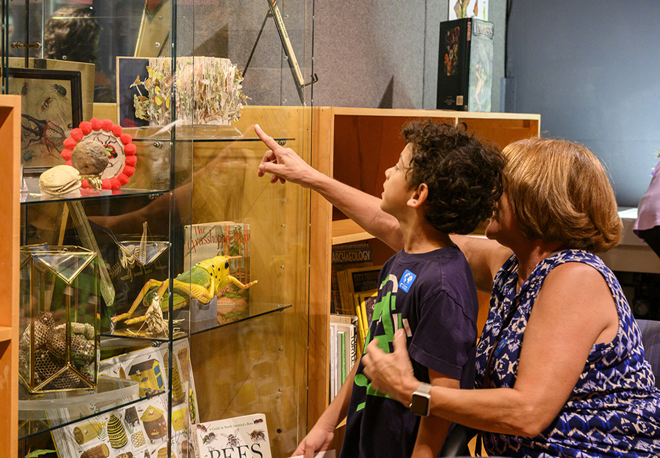 child and adult looking at a glass display while the adult points