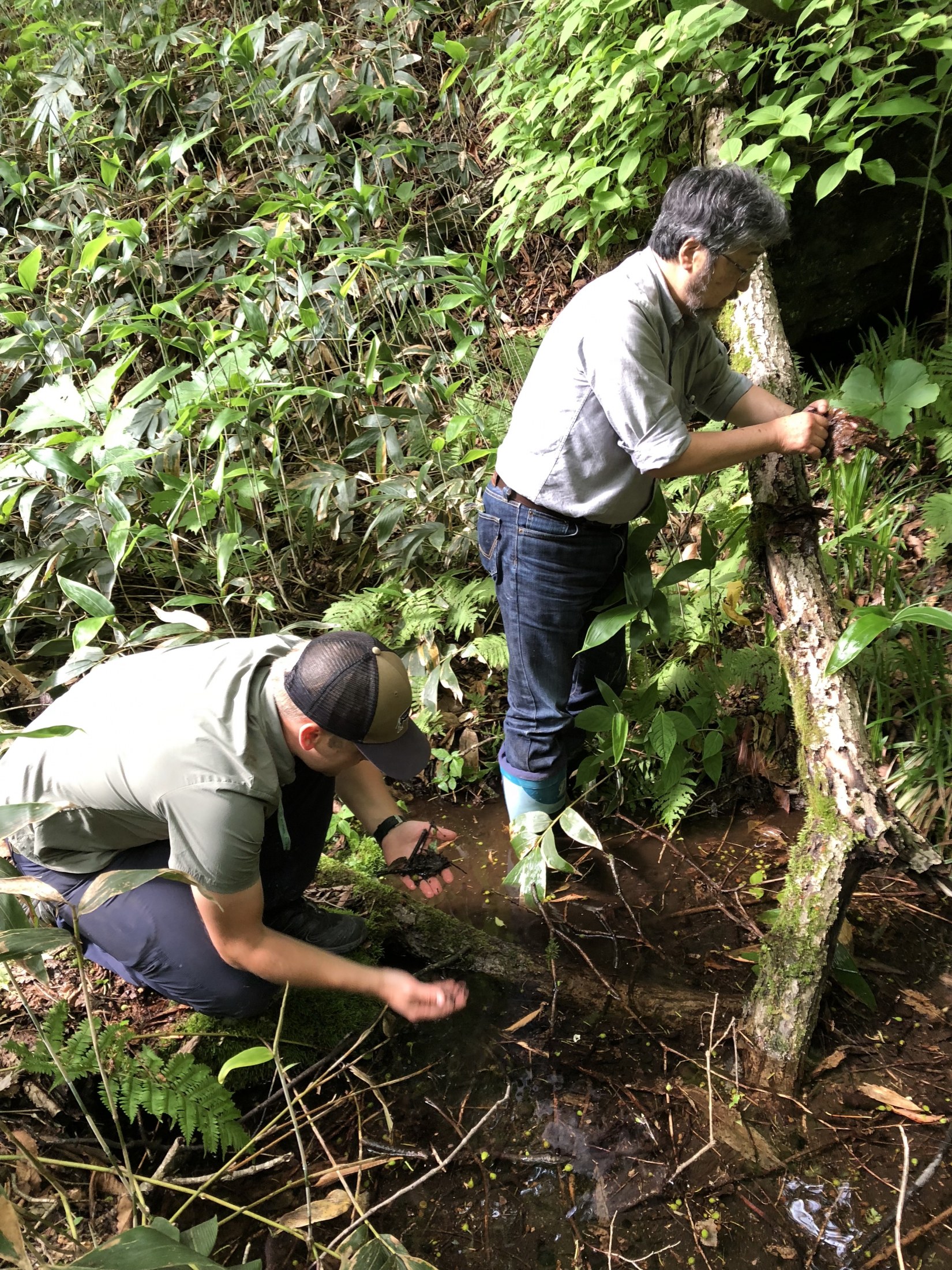 Japan – The Kawahara Lab