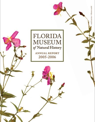 Annual Report 2005-2006 cover