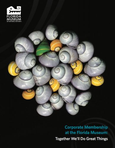 Corporate Membership cover