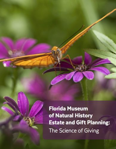Estate and Gift Planning Guide cover