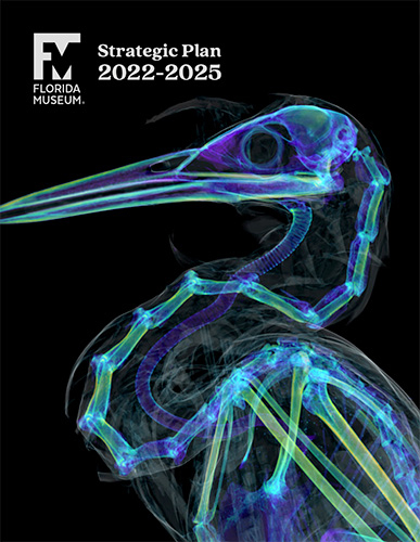 2022-2025 strategic plan brochure cover with a closeup of a CT scan of a heron's curved neck and head on a black background