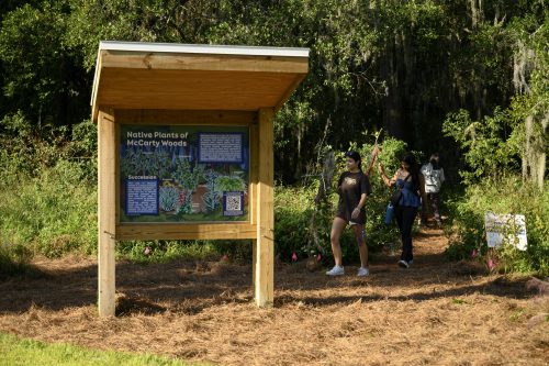 several people walk down a shaded pathway in woods to emerge next to a kiosk with a sign about local native plants