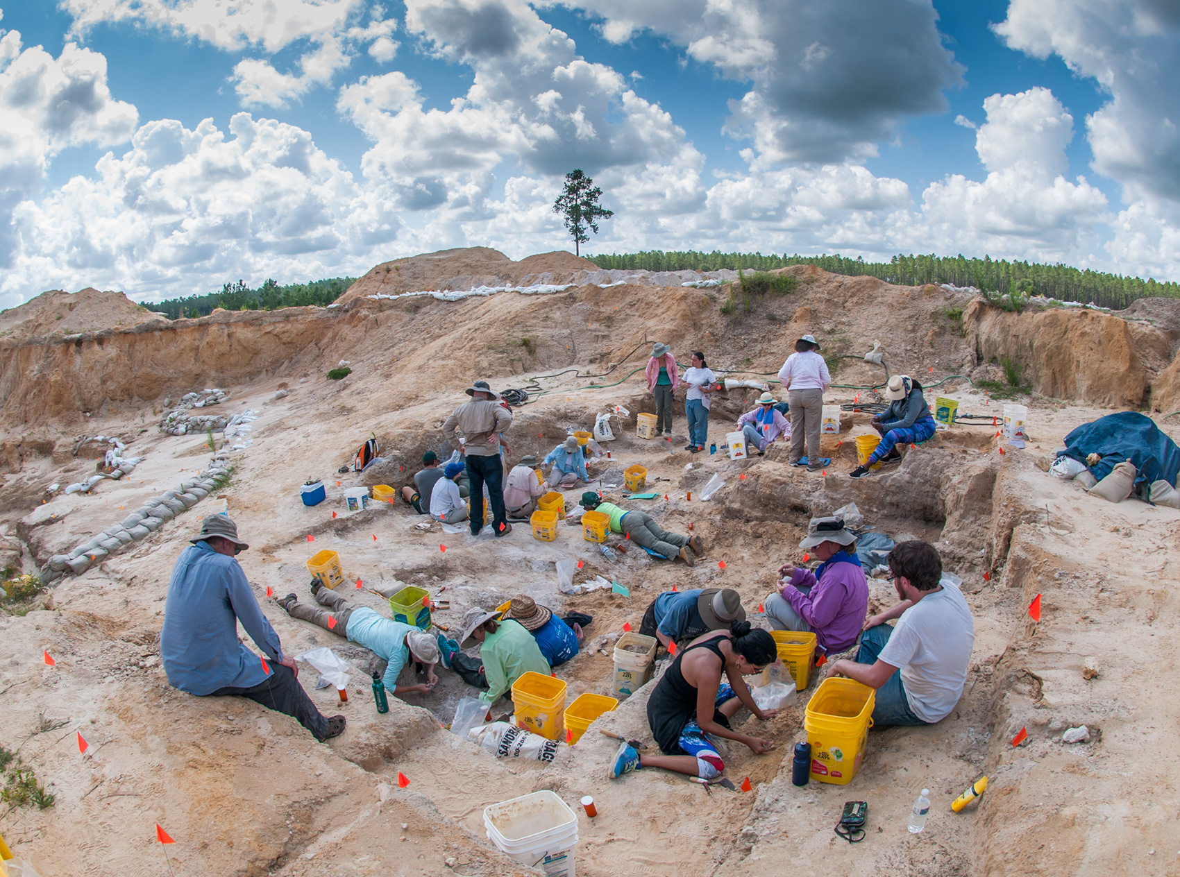 fossil dig site