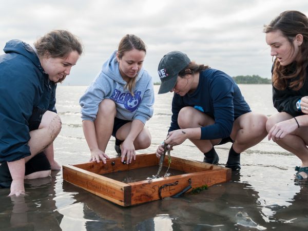 Images taken of Science Story about Gustav Pauly's marine science field biology class at Cedar Key