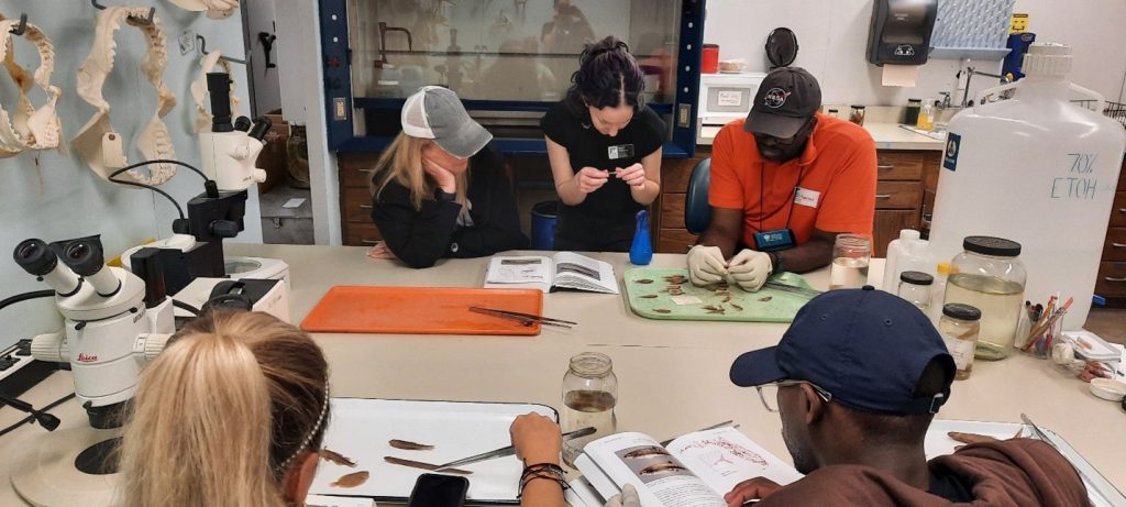 Lab Technician, Basil Williams helps teachers identify Florida fishes before re-labeling and putting them in new specimen jars.