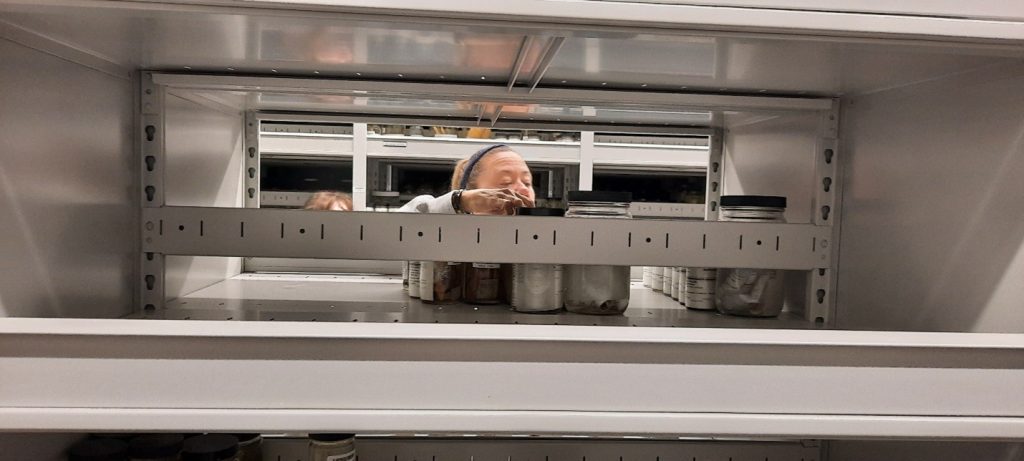 A teacher organizes jars in the new, state-of-the-art Special Collections Building.