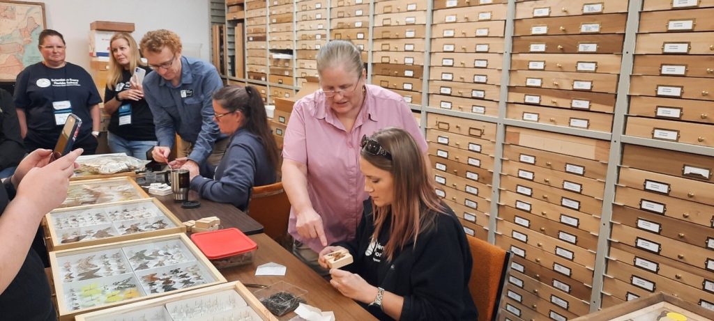 Dr. Keith Wilmott and Dr. Deborah Matthews show teachers how to pin butterflies behind-the-scenes in the McGuire Center for Lepidoptera and Biodiversity.