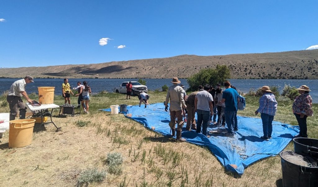 Fig 5: Students, teachers and elders gathering and counting fish.