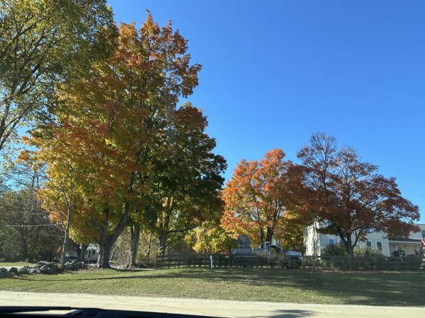 Changing of the leaves in NH.