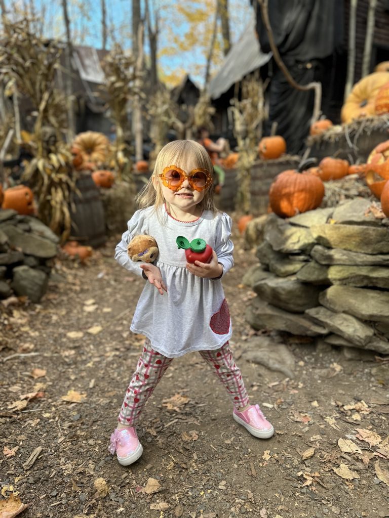 Zelda at a pumpkin patch