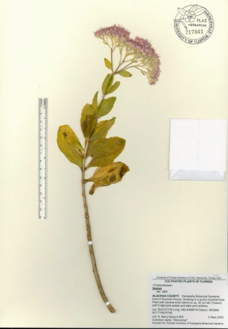 what-is-a-herbarium-research-news