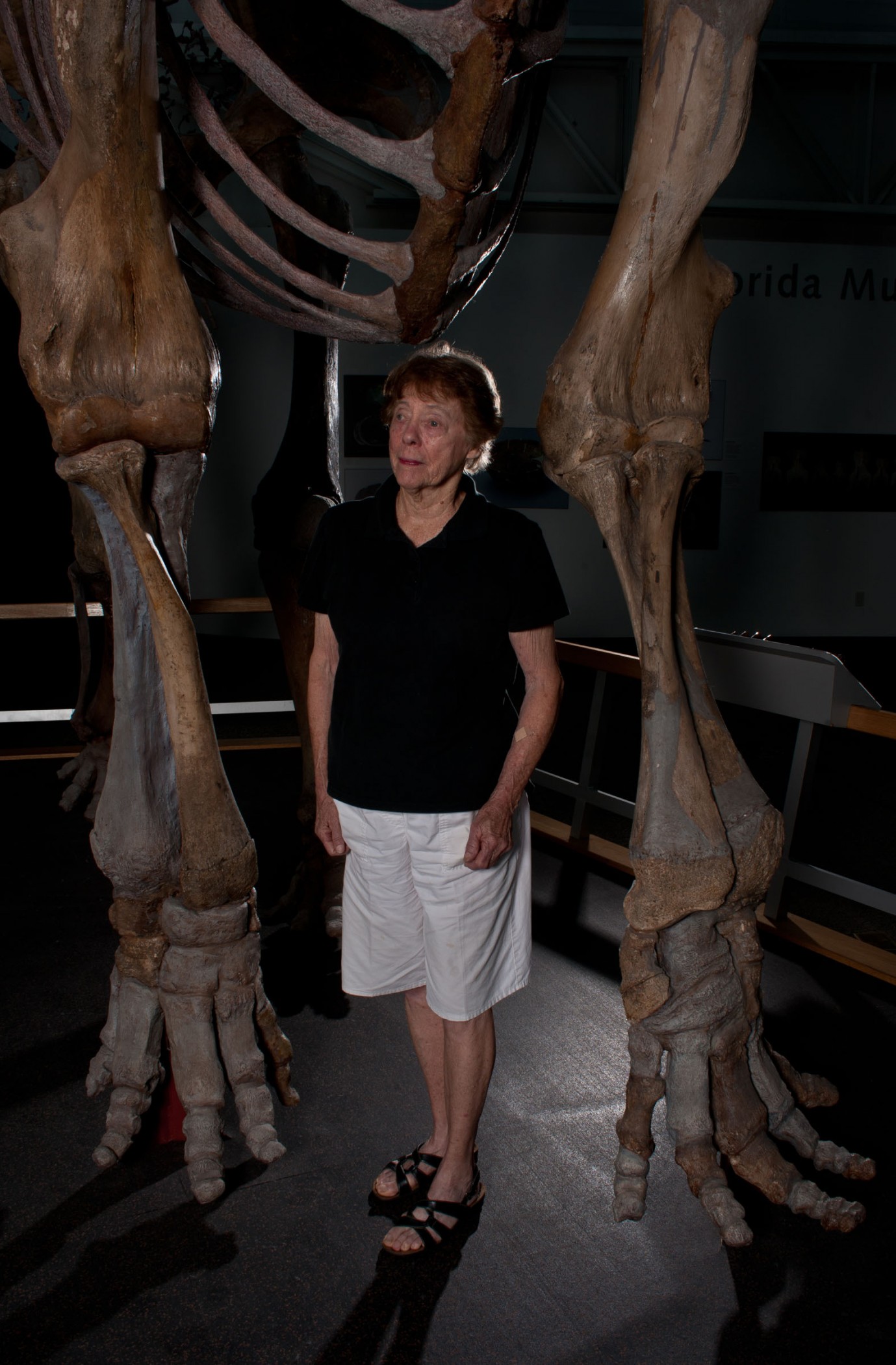 giant human skeleton museum