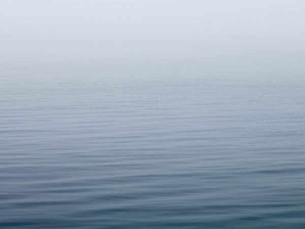 calm water with heavy fog