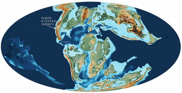 Butterfly tree of life reveals an origin in North America – Research News