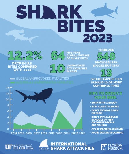 Shark bites consistent with recent trends, with small spike in ...