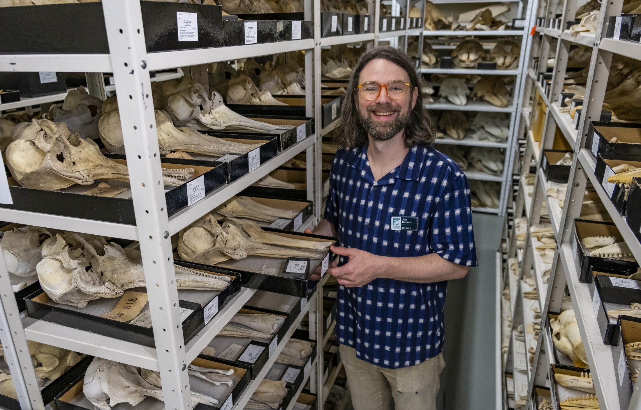 Person stands between shelves full of marine mammal specimens. 