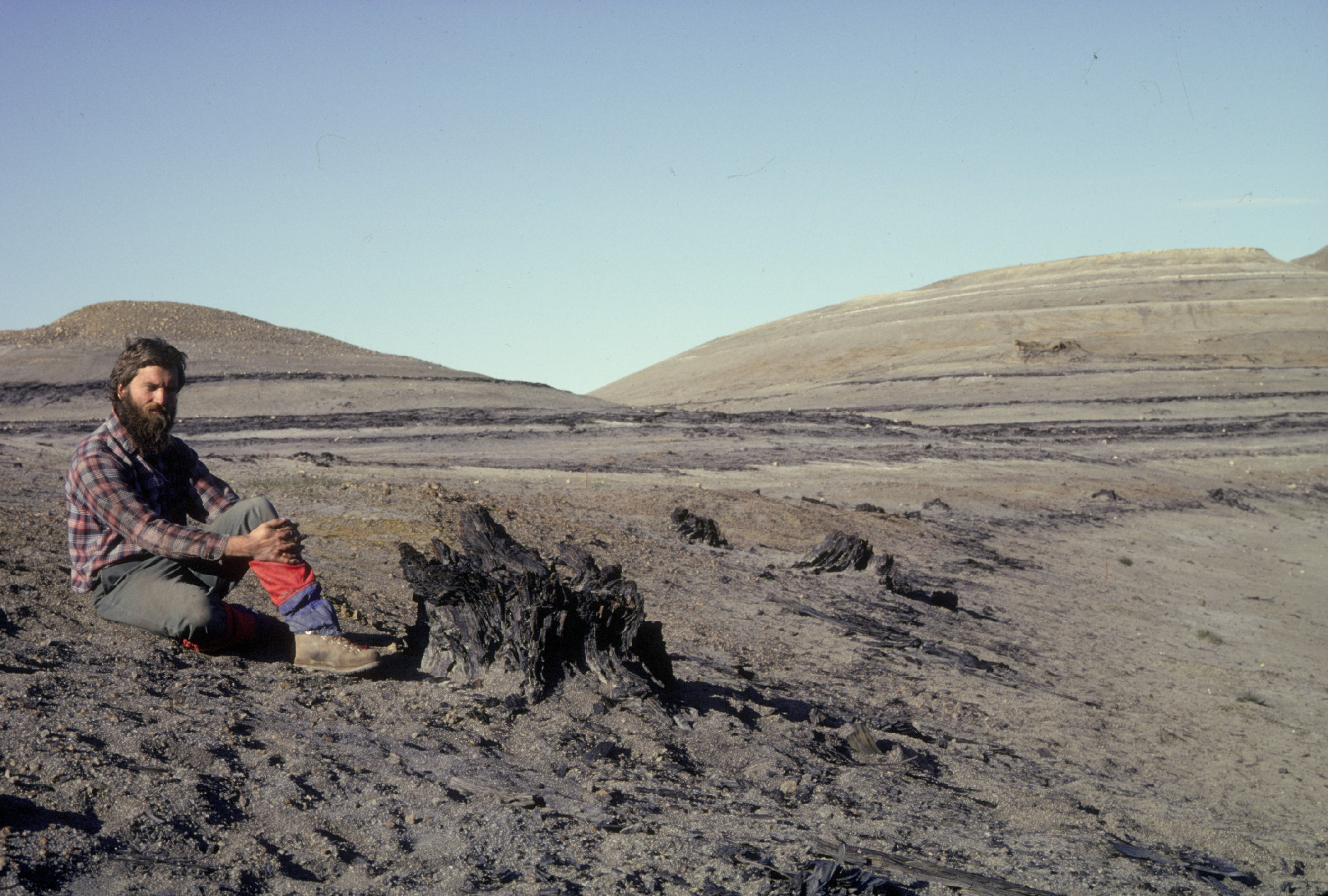 James Basinger sitting on the ground next to one of the stumps in the fossil forest. 