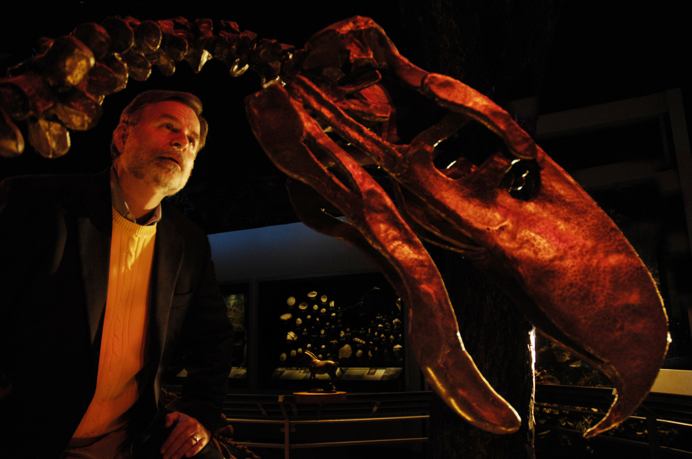 Person stands in a museum exhibit hall next to the fossil reconstruction of a terror bird. 