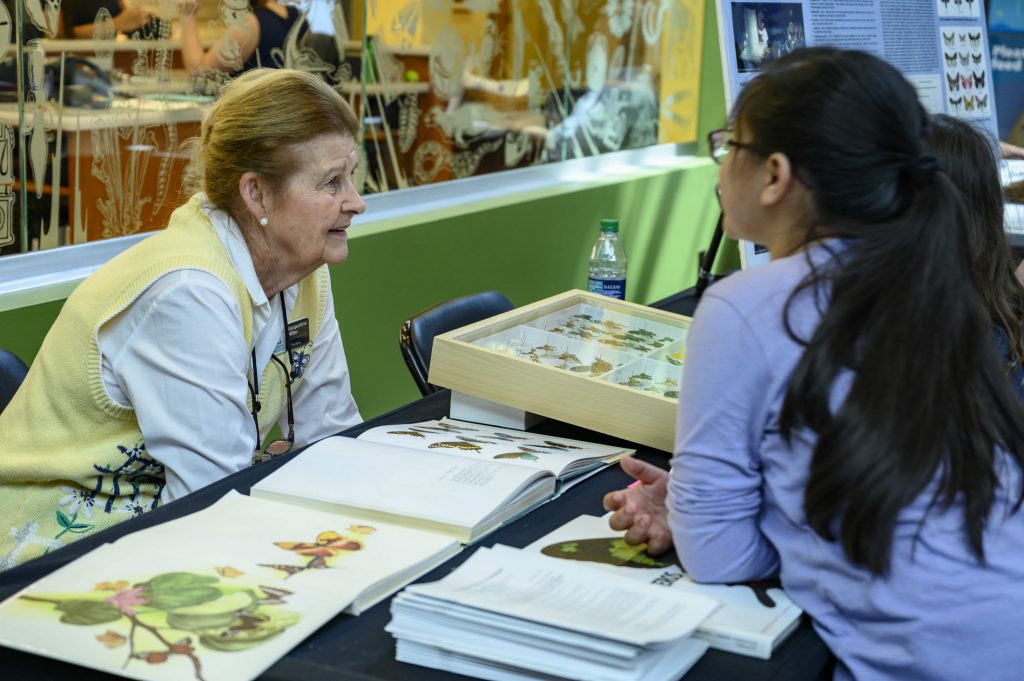 A young person and an older woman talk at a table with a display of Lepidoptera specimens.