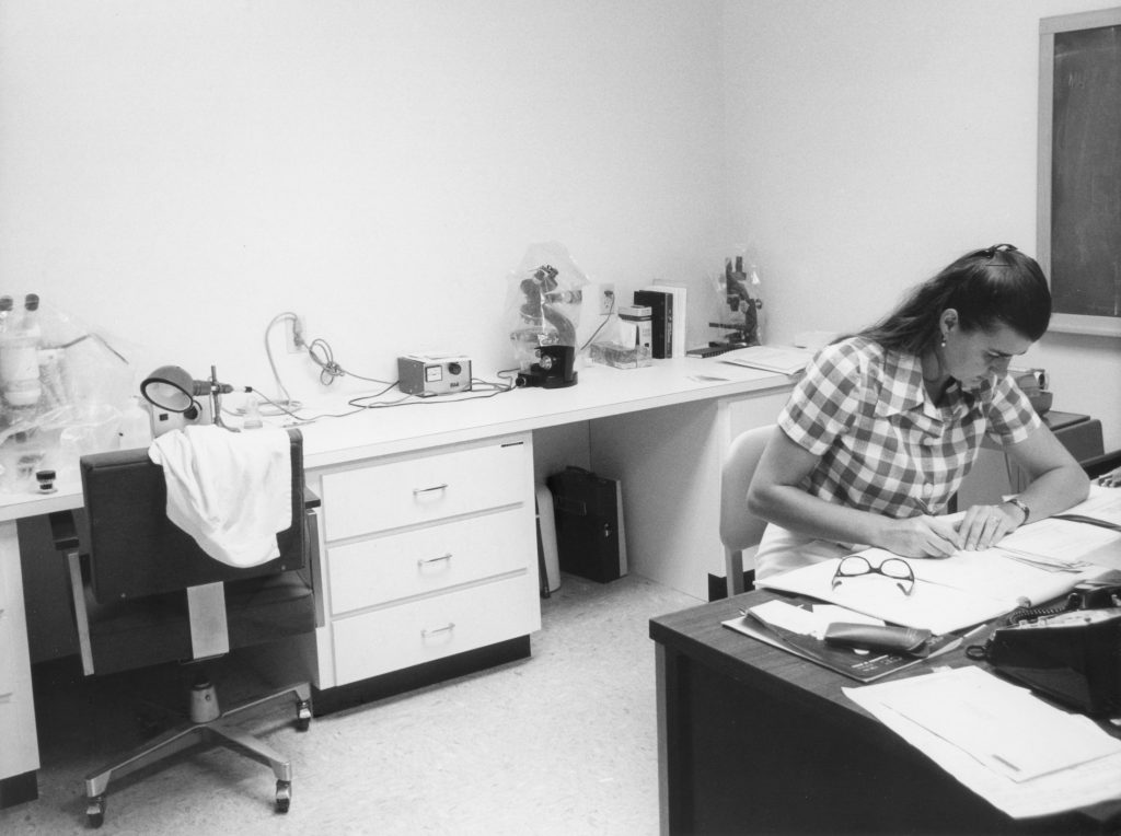 Person sitting at a desk reviews paperwork.