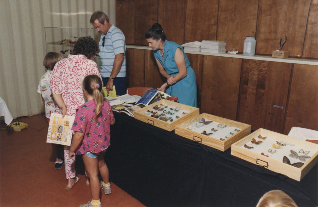 A museum display of lepidoptera specimens and photographs in a magazine with people looking at them.