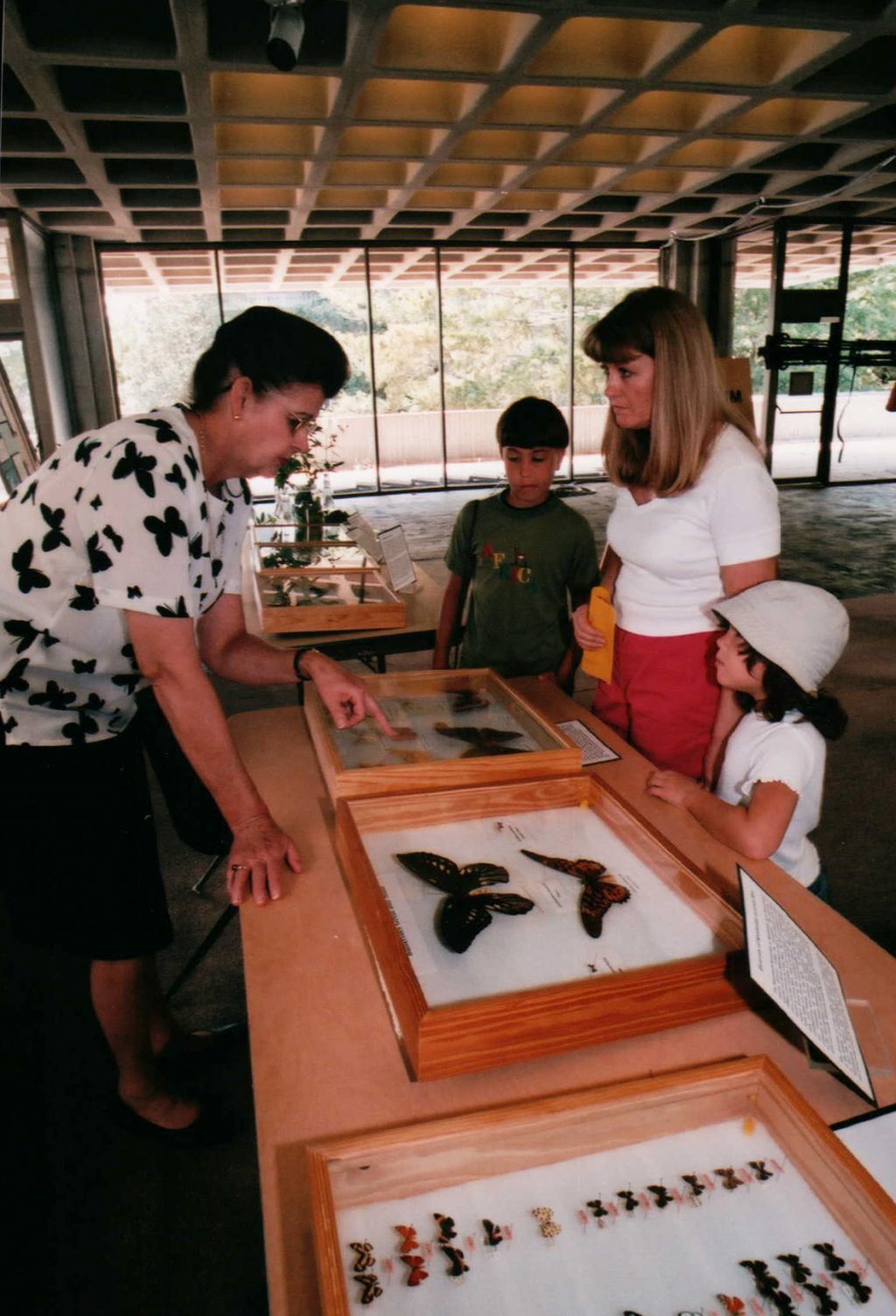 Person shows lepidoptera specimens in a display case to onlookers.