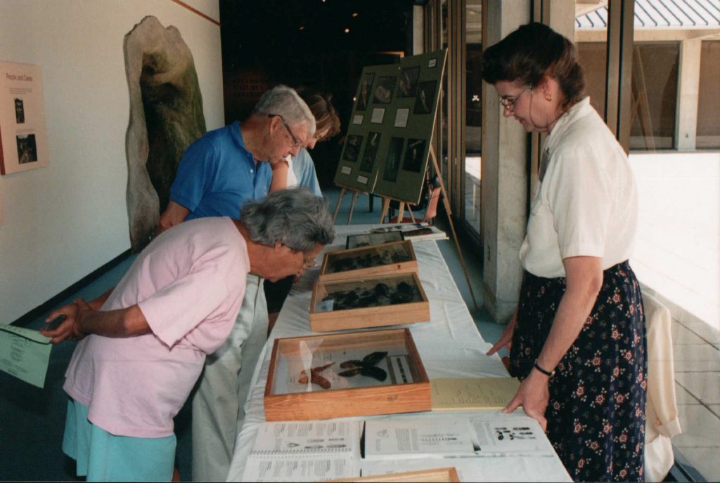 People look at butterfly specimens set up on a table.