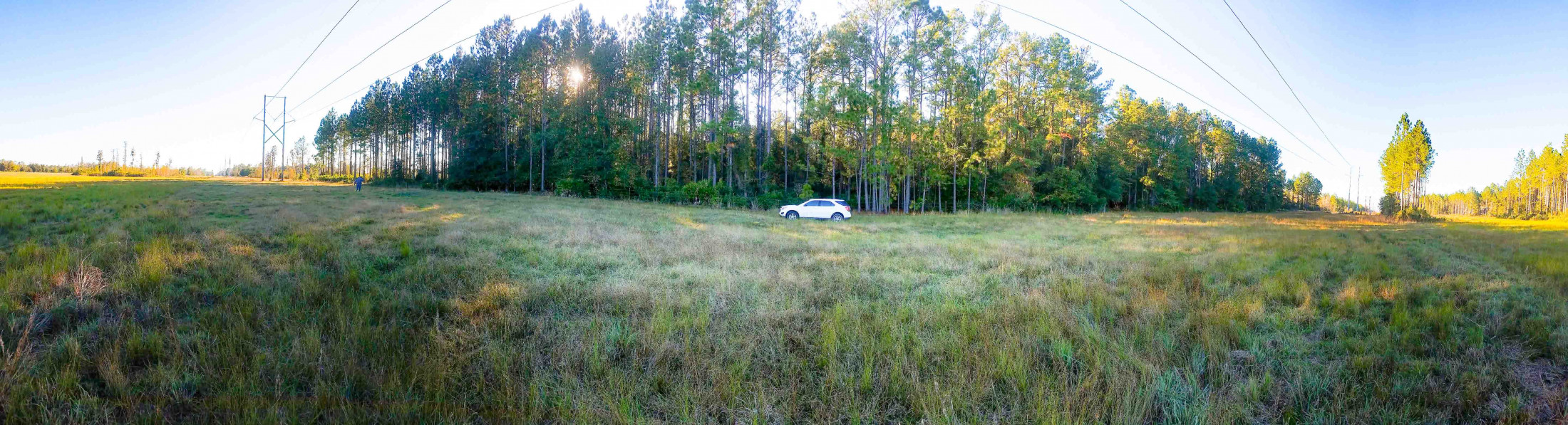 Car between a stand of trees and a field of grass in a panoramic photo. 