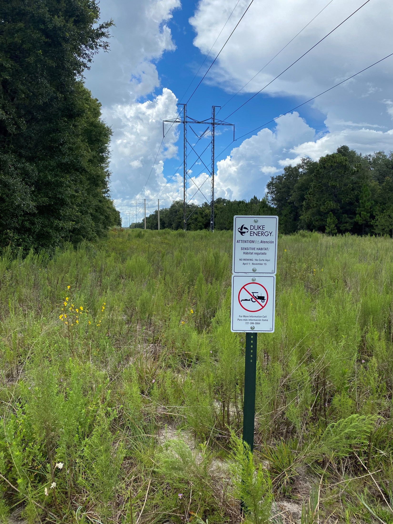 A sign posted in a right-of-way belonging to Duke Energy describes the area as a sensitive habitat. The sign states no mowing from April 1 to November 15.