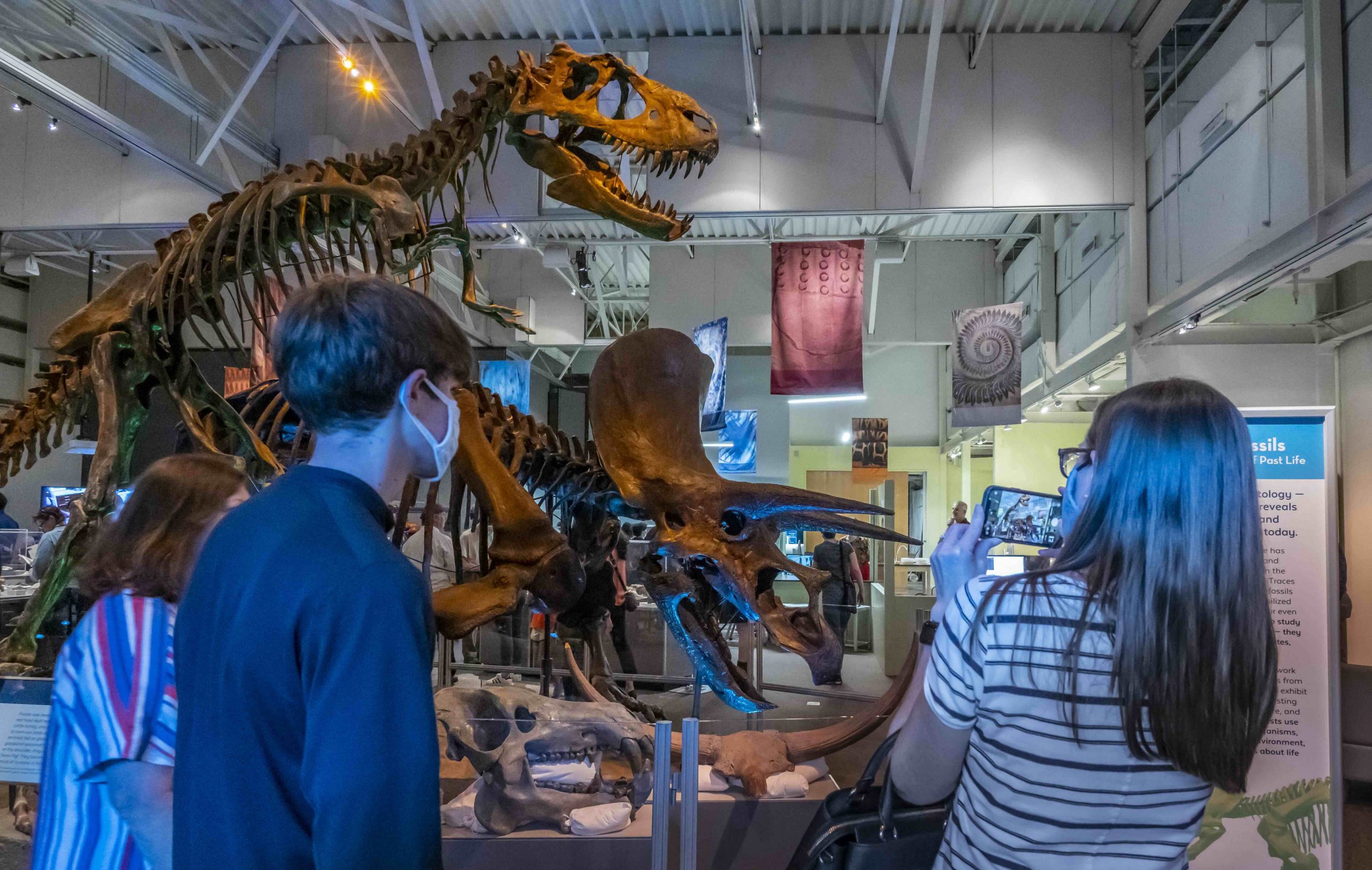 Museum visitors look at dinosaur skeletons and various other fossils in an exhibit.