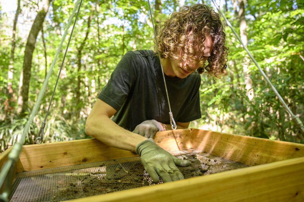 Person used a sifter to search for archaeological objects.