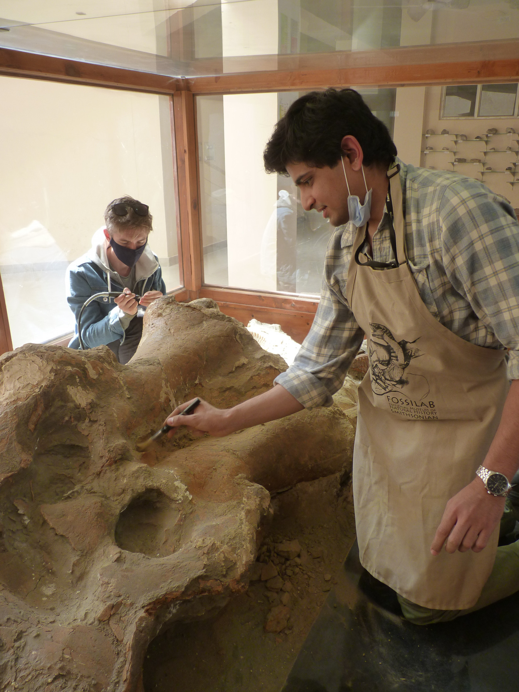 Two scientists brush off a giant elephant fossil.