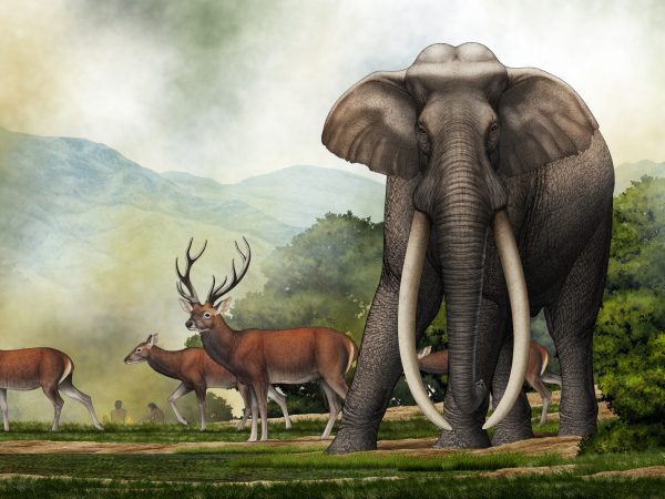 Illustration of a giant, extinct elephant in front of some deer in a lush, mountainous landscape.