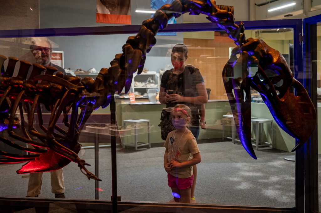 People look at a reconstruction of a terror bird in a museum exhibit.