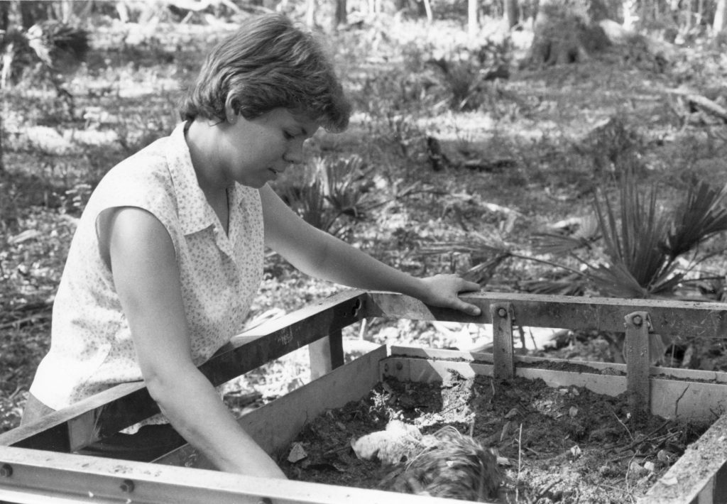 Person working outdoors looking for archaeological artifacts.