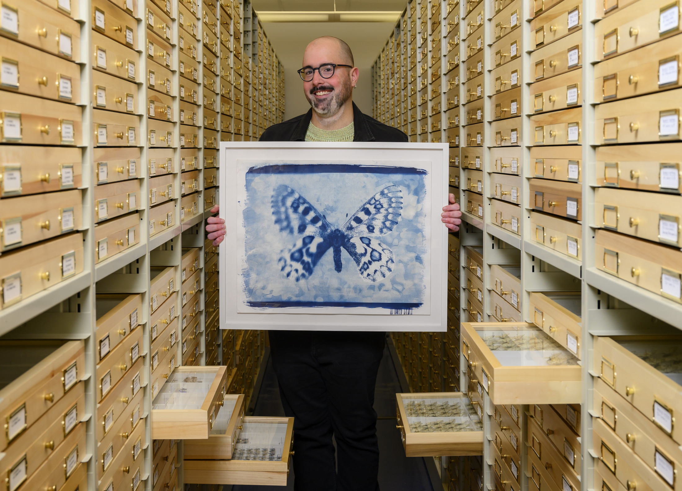 Person holds a framed painting in between cabinets containing butterflies in a museum.