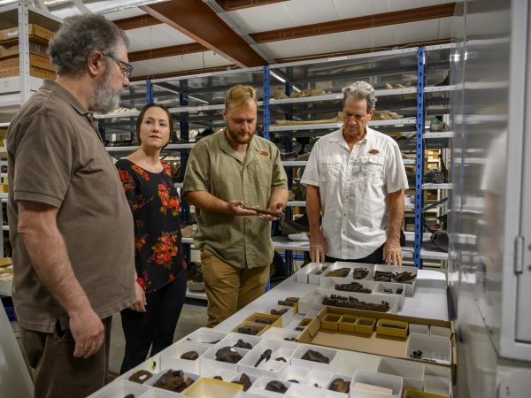 Four people stand around a table on which several fossils are arranged.