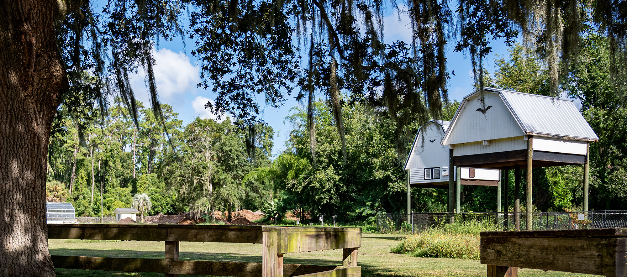 About the Houses – University of Florida Bat Houses