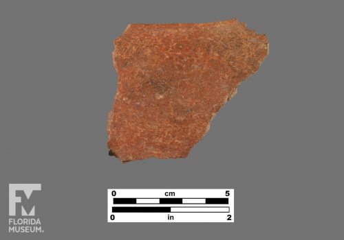 Formal artifact photo of an undecorated sherd.