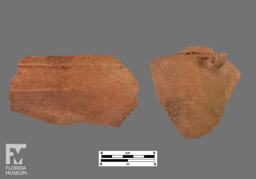 Formal artifact photo of two sherds, both have folded rims and one has modeled appliqué.