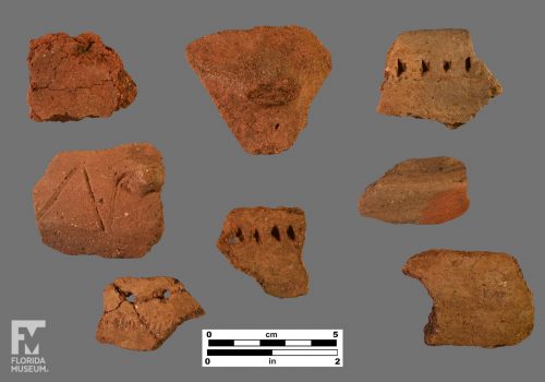 Formal artifact photo of eight sherds, some with punctation, incising, and appliqué.