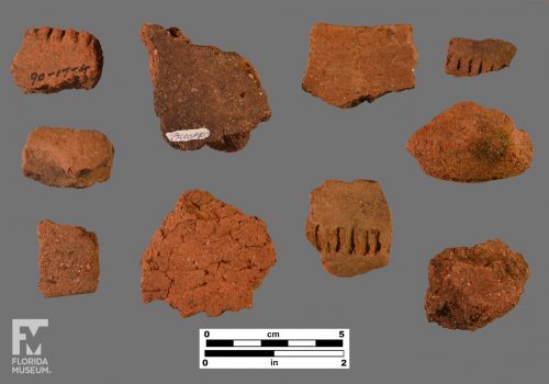 Formal artifact photo of ten sherds, some with appliqué and others with incising.