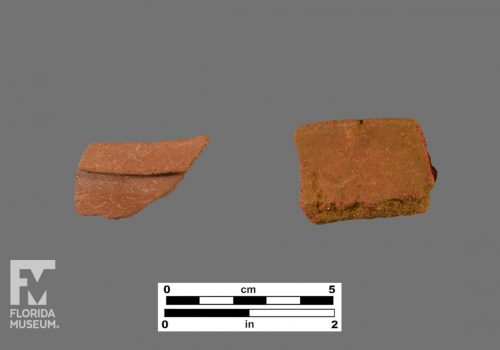 Formal artifact photo of two sherds, one with a folded rim.