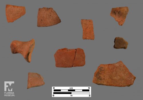 Formal artifact photo of nine sherds, some with paint. One sherd is also an animalistic adorno, and another sherd has fine crosshatched incisions.