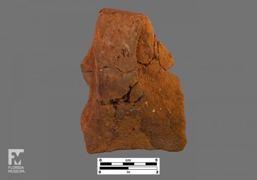 Formal artifact photo of a large handle sherd.