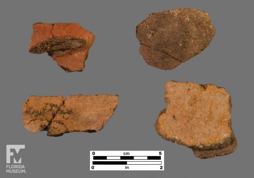 Formal artifact photo of four sherds, including some with paint and appliqué.